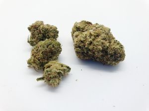 Bubblegum 5g