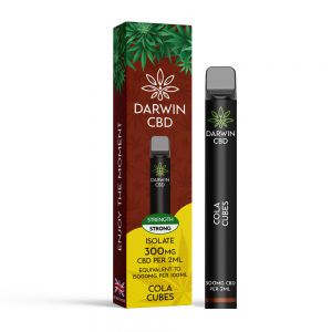 Disposable cbd vape pen, 300mg red berries and menthol flavour