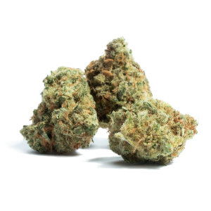 Amnesia 5g