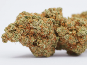 Alien Fruit 2g