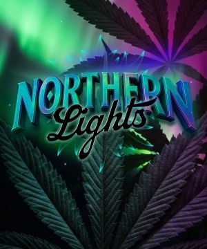 Northern Lights 5pk