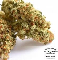 Auto Colorado Cookies 3pk