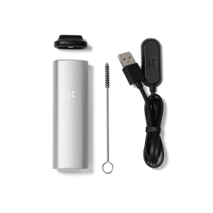 Pax Mini Platinum Silver