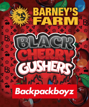 Black Cherry Gushers 5pk
