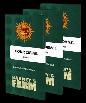 Sour Diesel 5pk 