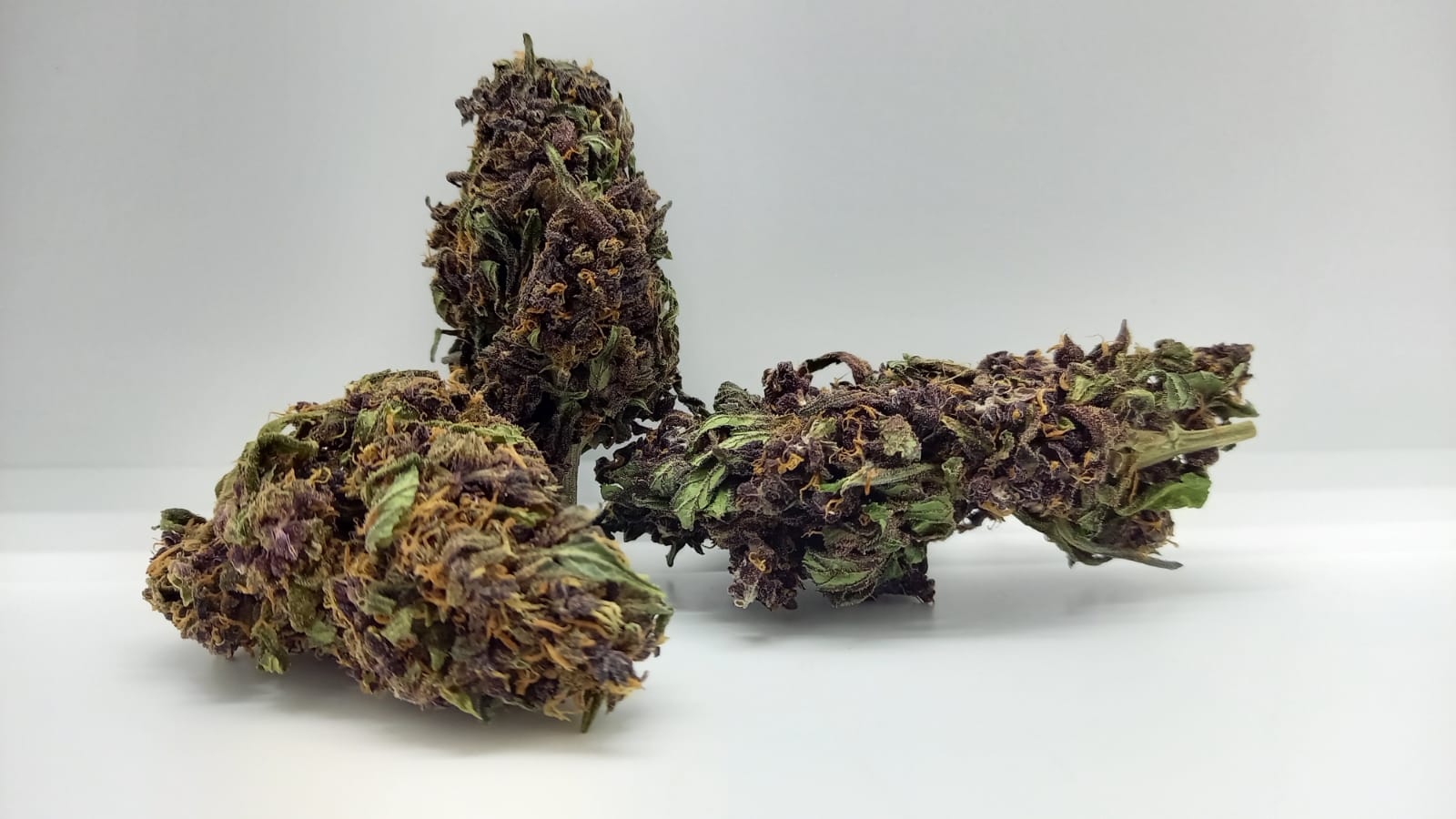 Purple Haze CBD Bud 3g