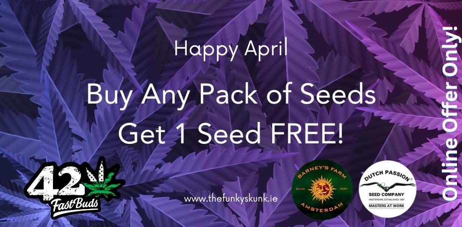 Cannabis Seeds Cannabis Seeds